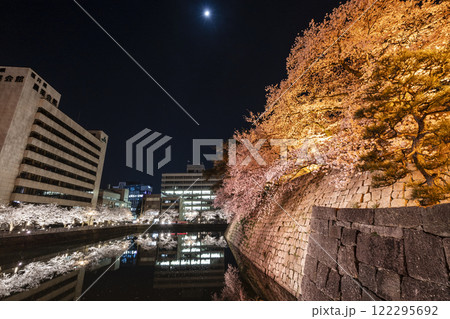 福井城址の夜桜 122295692