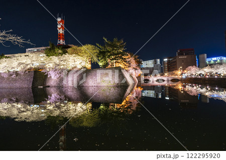 福井城址の夜桜 122295920