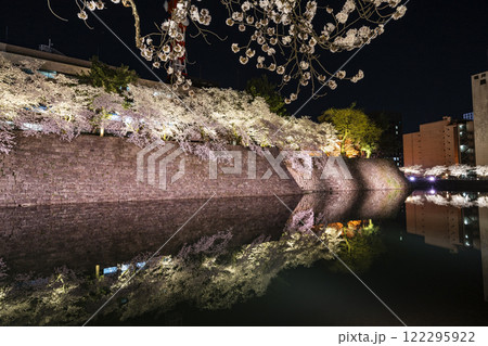 福井城址の夜桜 122295922