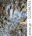 霜柱 122296701