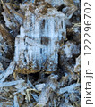 霜柱 122296702
