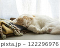 眠っているふわふわの可愛い猫 122296976