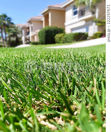 Bright green lawn in a suburban neighborhood under clear blue skies 122297671