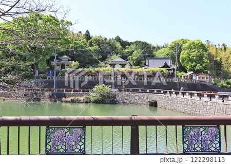 福岡県田川郡福智町の藤の名所定禅寺と迫池 122298113