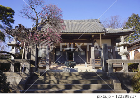 森巌寺・本堂 122299217