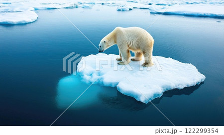 Glacial Arctic Scene with Polar Bear Glacial Arctic Scene with Polar Bear 122299354