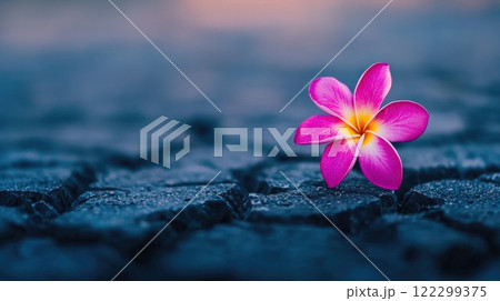 Flower of hope in barren land Flower of hope in barren land 122299375