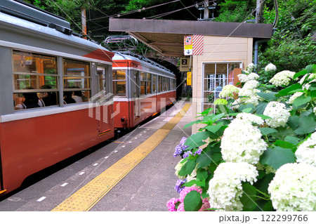 関東・箱根登山電車・塔ノ沢駅にあじさい電車が停車しているイメージ・神奈川県箱根町(1) 122299766