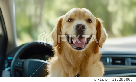 Happy Golden Retriever Enjoying Car Ride with Ears Flapping 122299866