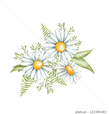 Floral bouquet of daisies. Hand drawn illustration of daisy buds with greenery. 122300163
