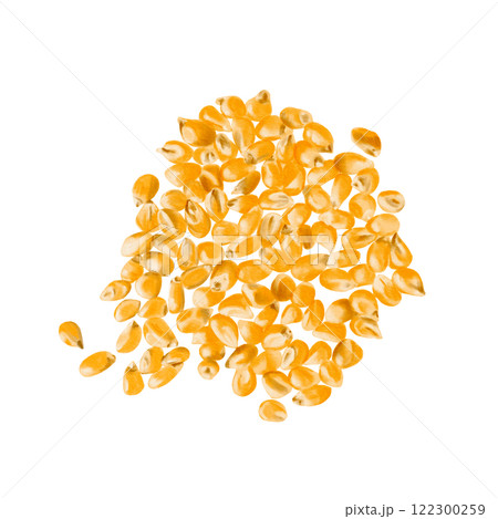 Dry corn kernels are scattered on the surface. The grains are yellow. Watercolor illustration. Isolated from the background. Agricultural crop, animal feed and seeds for sowing corn. Making popcorn. Dry corn kernels are scattered on the surface. The grains are yellow. Watercolor illustration. Isolated from the background. Agricultural crop, animal feed and seeds for sowing corn. Making popcorn. 122300259