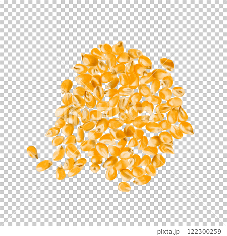 Dry corn kernels are scattered on the surface. The grains are yellow. Watercolor illustration. Isolated from the background. Agricultural crop, animal feed and seeds for sowing corn. Making popcorn.  122300259