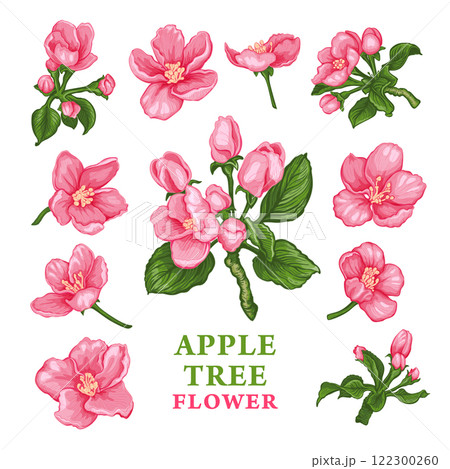 Apple Tree flower sketch 2 122300260