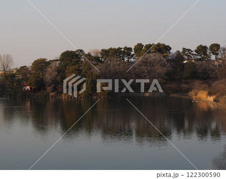 夕焼けの池、東京都大田区「洗足池」 夕焼けの池、東京都大田区「洗足池」 122300590