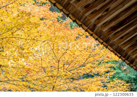 湖国百選 東近江市の瓦屋禅寺(瓦屋寺) 紅葉(秋のイメージ) 湖国百選 東近江市の瓦屋禅寺(瓦屋寺) 紅葉(秋のイメージ) 122300635
