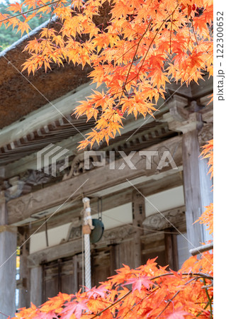 湖国百選　東近江市の瓦屋禅寺（瓦屋寺）　本堂と紅葉　有形文化財 122300652