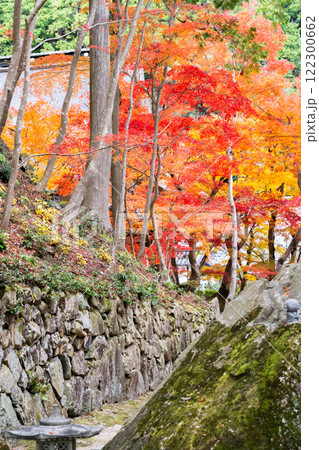 湖国百選 東近江市の瓦屋禅寺(瓦屋寺) 紅葉(秋のイメージ) 湖国百選 東近江市の瓦屋禅寺(瓦屋寺) 紅葉(秋のイメージ) 122300662