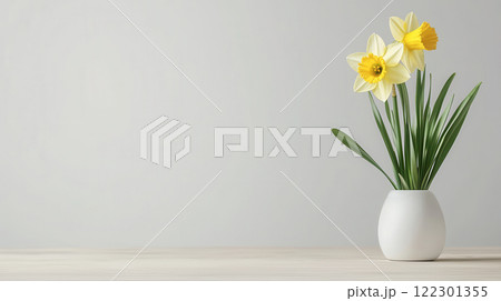 Fresh daffodils in white vase, brightening up minimalist space with golden yellow blooms and green leaves 122301355