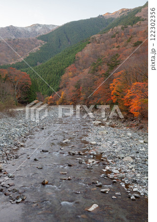 山間の渓谷で楽しむ秋の風景、赤や黄色に染まる森林と冠雪した山のコラボ 122302356