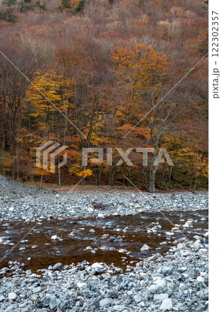 紅葉と黄葉が織りなす秋の観光スポット、絶景の森と川 122302357