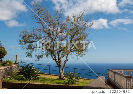Park and Atlantic ocean, Ponta do Pargo, Madeira 122304986