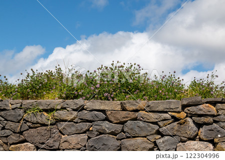 Stone wall and grenery, Ponta do Pargo, Madeira Stone wall and grenery, Ponta do Pargo, Madeira 122304996