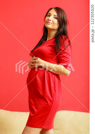 pregnant woman at home touching her belly 122305020