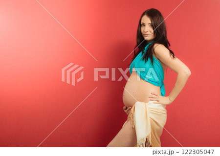 Attractive pregnant woman touching her belly 122305047