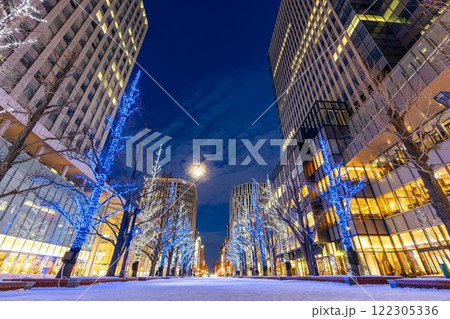 冬の札幌　北3条広場 (アカプラ)のイルミネーション　旧道庁（赤レンガ庁舎）前　 北海道札幌市 122305336