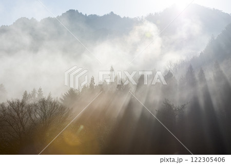 朝霧に包まれた森 122305406