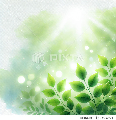 新緑が輝く爽やかな自然の風景｜癒しとエコを感じるイラスト   122305894