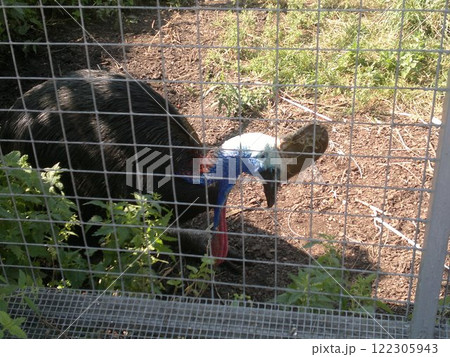 The Moscow Zoo is one of the oldest and largest zoos in Russia, offering a fascinating experience for visitors of all ages. The Moscow Zoo is one of the oldest and largest zoos in Russia, offering a fascinating experience for visitors of all ages. 122305943