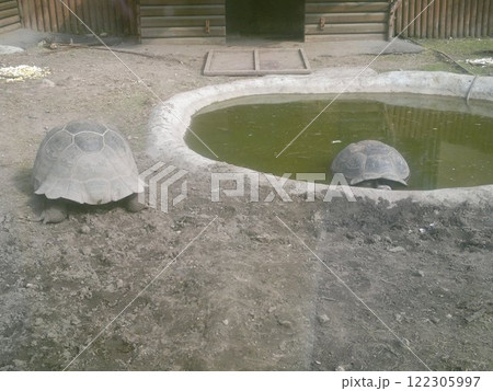 The Moscow Zoo is one of the oldest and largest zoos in Russia, offering a fascinating experience for visitors of all ages. The Moscow Zoo is one of the oldest and largest zoos in Russia, offering a fascinating experience for visitors of all ages. 122305997