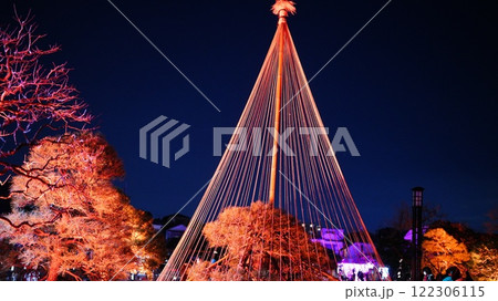 ライトアップされたイルミネーション堀切菖蒲園 122306115