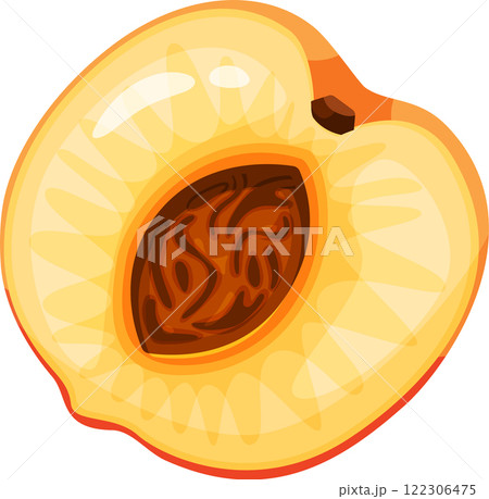 Peach cut in half with visible seed, showing the juicy yellow flesh and the details of the seed inside, perfect for representing summer, freshness and healthy eating 122306475