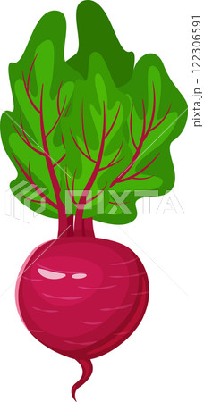 Fresh beet with large green leaves growing in fertile soil, a healthy and delicious root vegetable perfect for salads and other culinary creations Fresh beet with large green leaves growing in fertile soil, a healthy and delicious root vegetable perfect for salads and other culinary creations 122306591