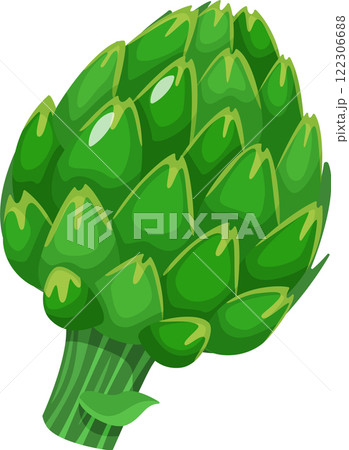 Green artichoke vegetable isolated on a white background, embodying healthy food choices and a vegan lifestyle, perfect for illustrating nutritious diets and fresh culinary ingredients 122306688