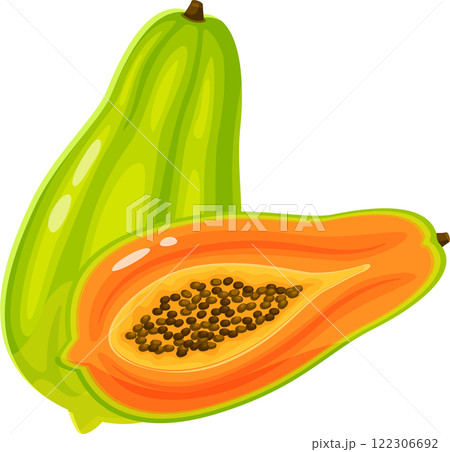 Whole and halved papaya fruit displaying a green exterior contrasted with a vibrant orange interior filled with small black seeds Whole and halved papaya fruit displaying a green exterior contrasted with a vibrant orange interior filled with small black seeds 122306692