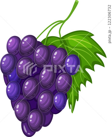Vivid illustration of a cluster of purple grapes attached to a green leaf. The grapes are depicted with a glossy texture, emphasizing their freshness and ripeness Vivid illustration of a cluster of purple grapes attached to a green leaf. The grapes are depicted with a glossy texture, emphasizing their freshness and ripeness 122306732