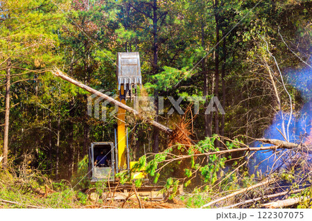 Uprooting of trees during preparation land for construction house 122307075
