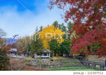 青空バックに見るきれいに色づいたイチョウの黄葉と真っ赤なモミジの紅葉のコラボ情景 122307512