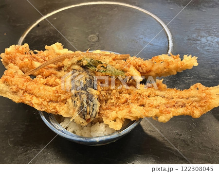大穴子の天丼 丼からはみ出す大きな穴子天ぷらの天丼 大穴子の天丼 丼からはみ出す大きな穴子天ぷらの天丼 122308045