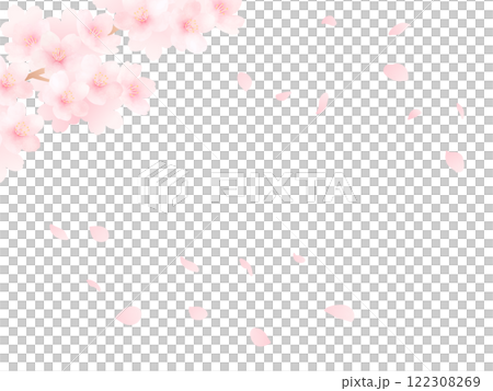 Background of cherry blossoms in full bloom and petals_Cute spring flower watercolor illustration 122308269
