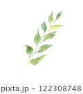 Watercolor Hand drawn greenery illustration isolated on white background. Botanical clipart element. Branch with leaves. Perfect for greeting cards, wedding invitations, packaging, scrapbooking 122308748