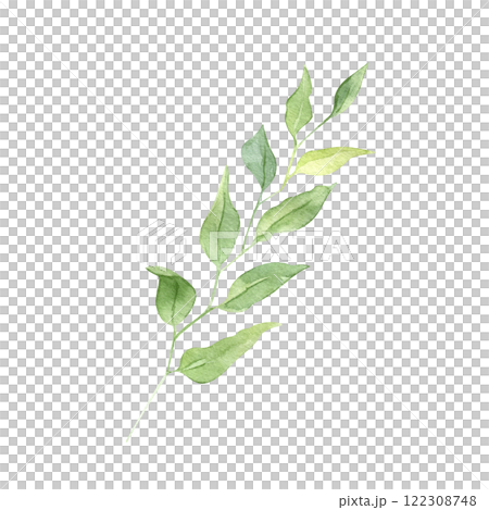 Watercolor Hand drawn greenery illustration isolated on white background. Botanical clipart element. Branch with leaves. Perfect for greeting cards, wedding invitations, packaging, scrapbooking 122308748