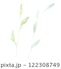 Green leaves branch watercolor hand drawn illustration isolated on white background. Botanical painted leaf clipart. Perfect for wedding invitations, greeting cards, packaging, wrapping 122308749