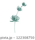 Wild flower leaf watercolor hand drawn illustration isolated on white background. Botanical painted leaf clipart. Perfect for wedding invitations, greeting cards, packaging, wrapping 122308750