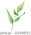 Green leaf watercolor hand drawn illustration isolated on white background. Botanical painted leaf clipart. Perfect for wedding invitations, greeting cards, packaging, wrapping 122308751