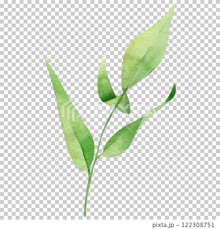 Green leaf watercolor hand drawn illustration isolated on white background. Botanical painted leaf clipart. Perfect for wedding invitations, greeting cards, packaging, wrapping Green leaf watercolor hand drawn illustration isolated on white background. Botanical painted leaf clipart. Perfect for wedding invitations, greeting cards, packaging, wrapping 122308751
