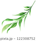 Watercolor hand drawn eucalyptus leaves illustration isolated on white background. Botanical painted leaf clipart. Perfect for wedding invitations, greeting cards, packaging, wrapping 122308752